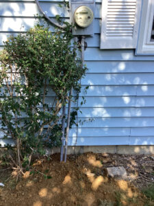 Deshaies Electrical Services installing a new electric meter and related conduit for a comprehensive electrical project